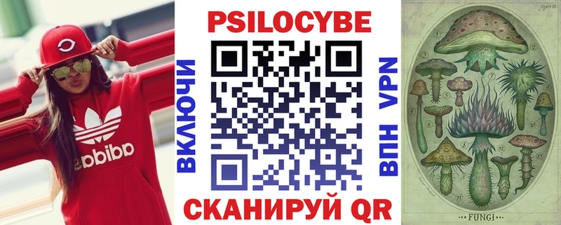 Галлюциногенные грибы Cubensis  Купить закладки  Владикавказ 